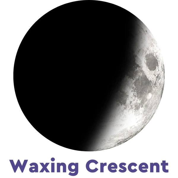 Moonglow Moonstone Bracelet 2A