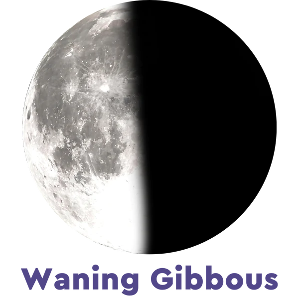 Moonglow Necklace 4D