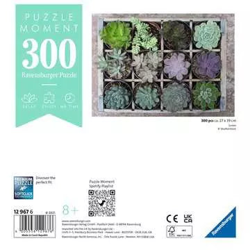 300 pc Green Puzzle