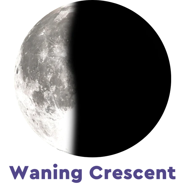 Moonglow Labradorite Bracelet 3D