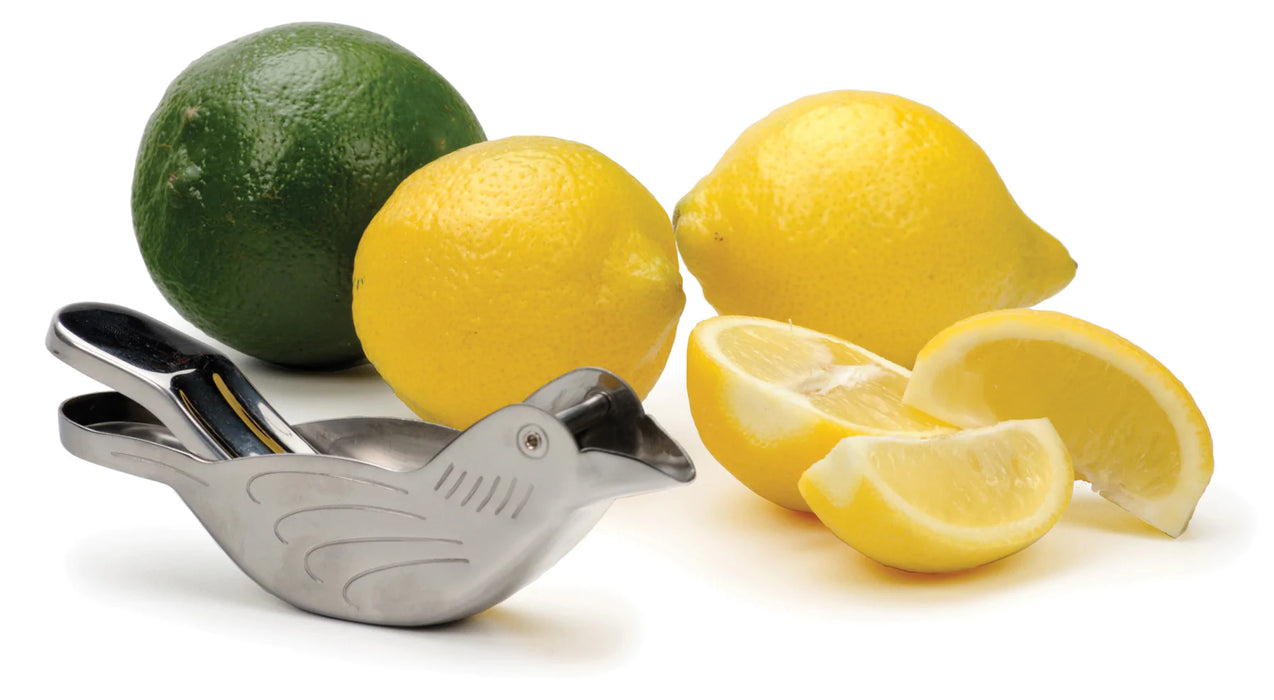 Whimsical Bird Lemon Press