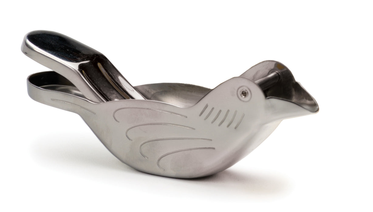 Whimsical Bird Lemon Press