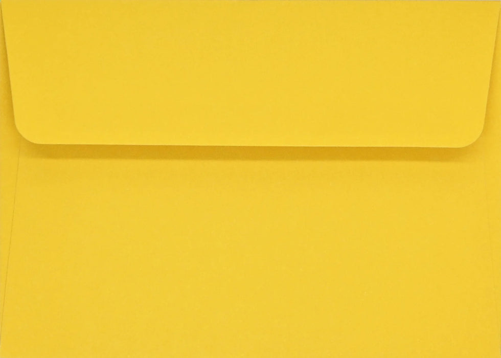 Sunflower Dreams Note Cards