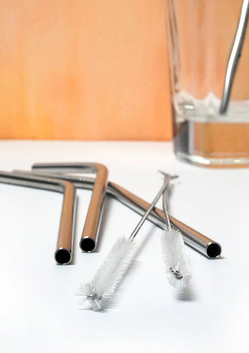 Drink Straw Brushes