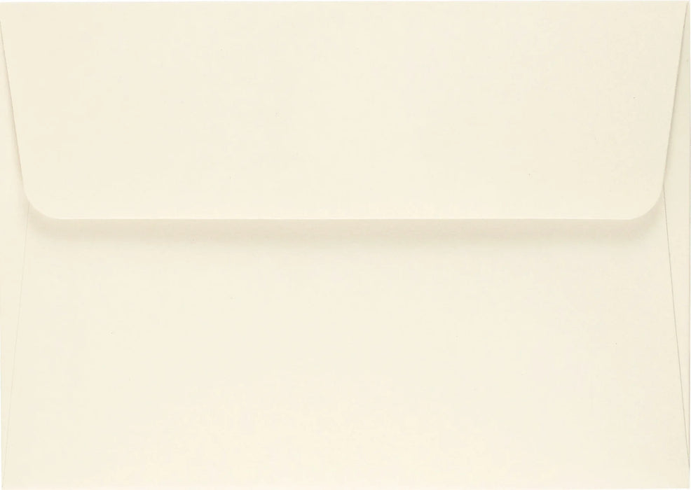 Mushrooms Note Cards