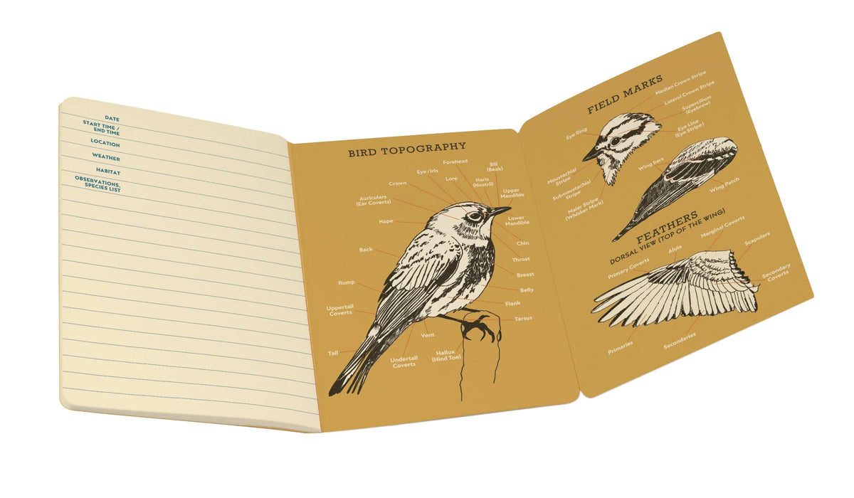 Bird Notebook Packs Birdwatching Notebook — fabulagifts