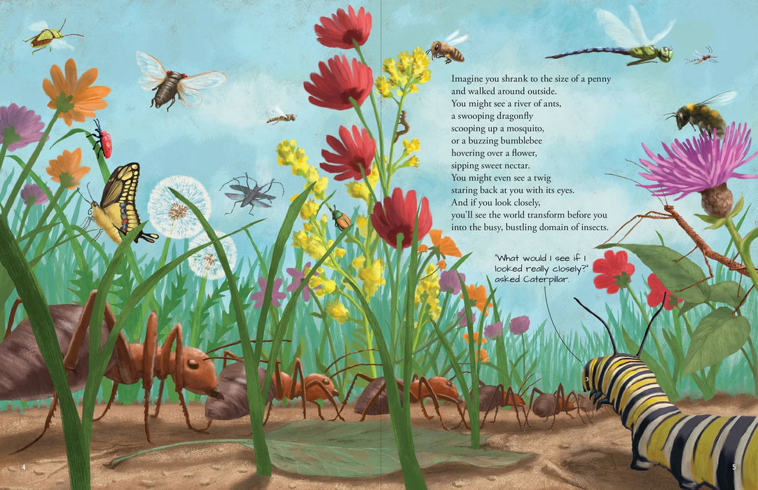 All The Insects Book