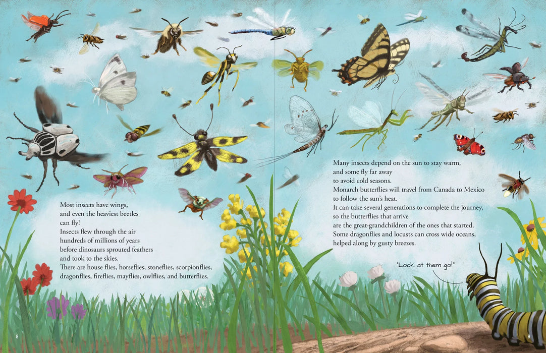 All The Insects Book