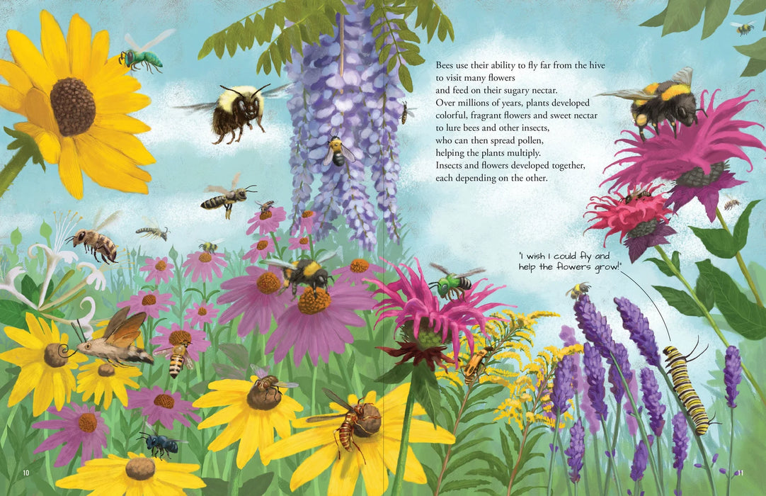 All The Insects Book