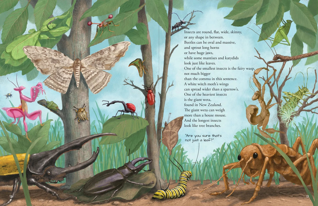 All The Insects Book