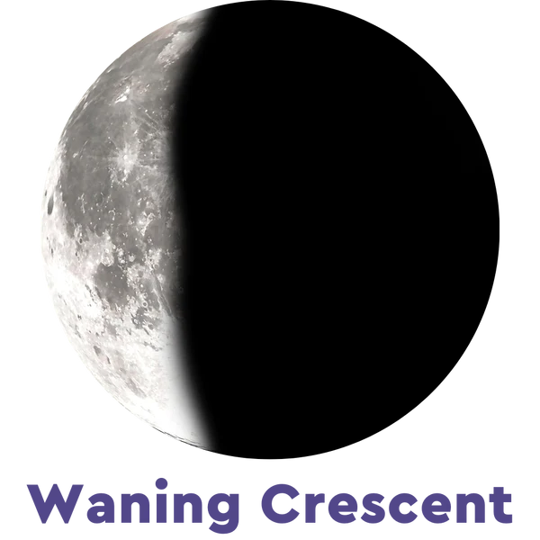 Moonglow Labradorite Bracelet 2D