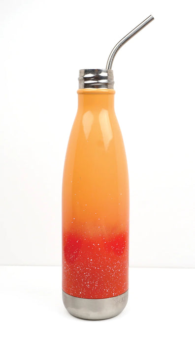 Stainless Steel Drink Straws