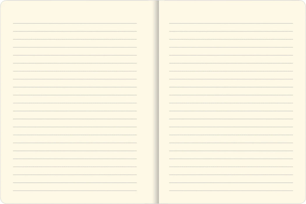 Locked Unicorns Journal