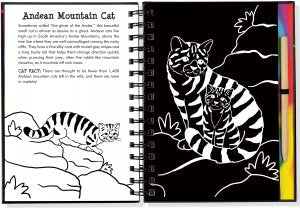 Scratch & Sketch Wild Cats