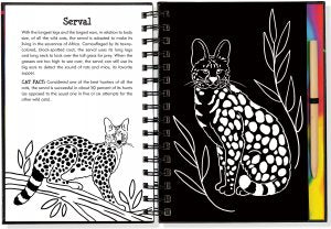 Scratch & Sketch Wild Cats