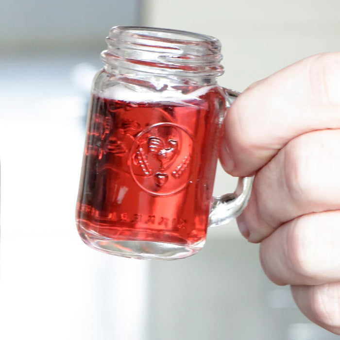Mason Jar Shot Glasses