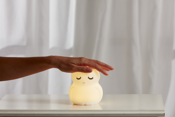 Owl Night Light