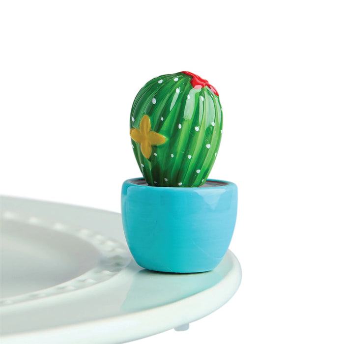 Cactus Mini
